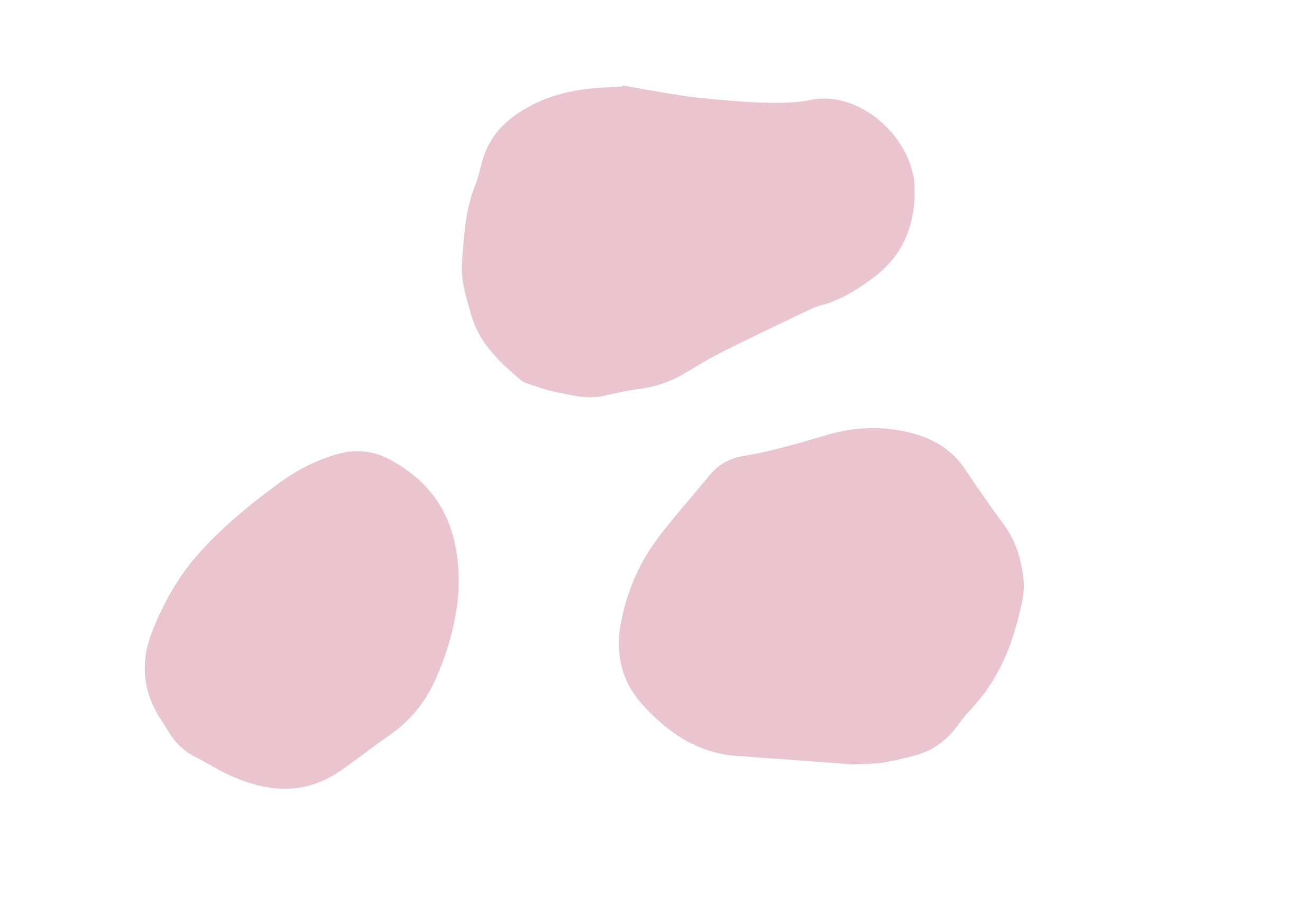 DLG_Elements-separes_Rose-08